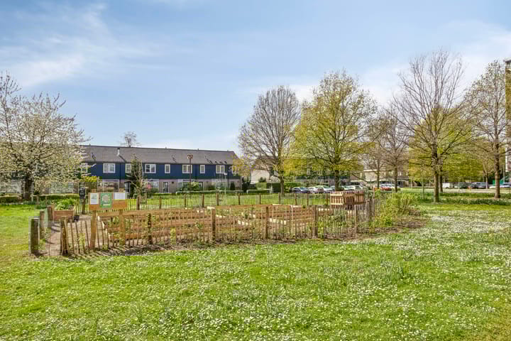 Foto 33 van Loplein 24