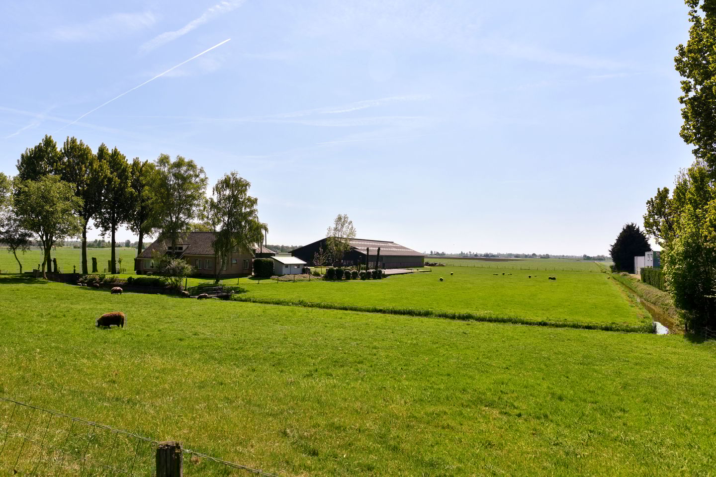 Photo 4 of Burgemeester Padmosweg 154-A