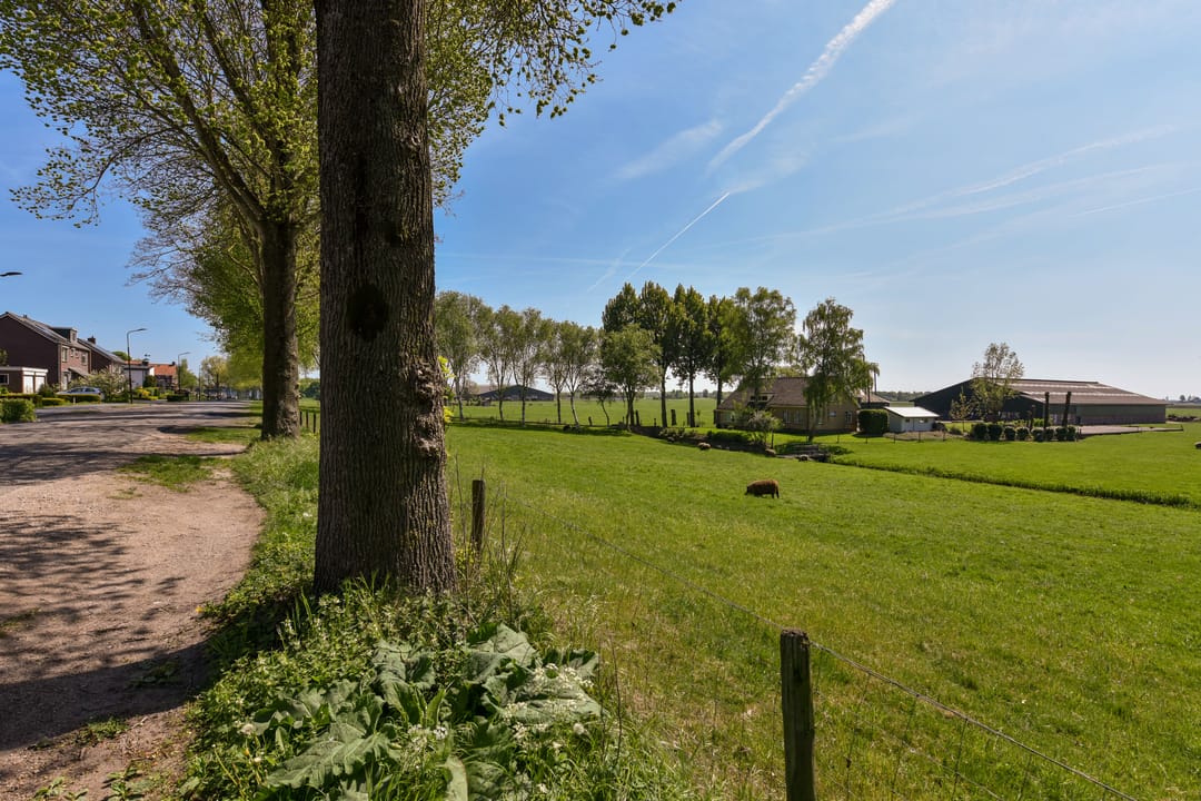 Photo 41 of Burgemeester Padmosweg 154-A