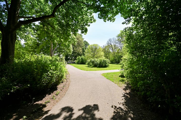 Foto 39 van Vlaskamp 94