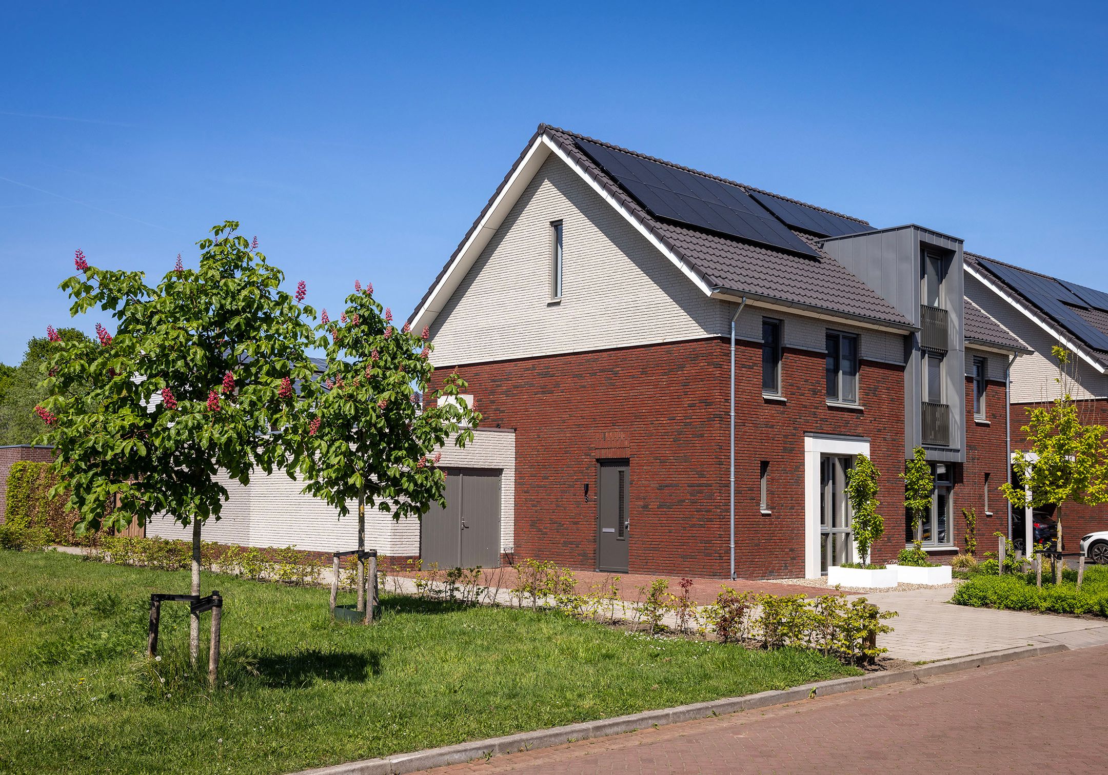 Foto 6 van Wiekslag 8