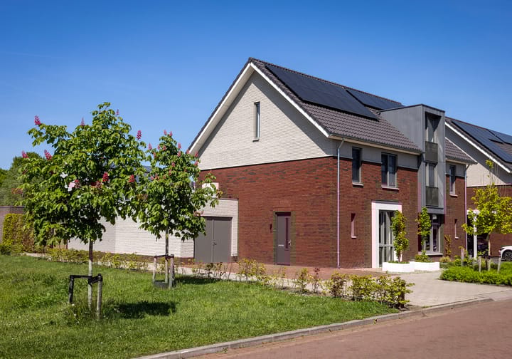 Foto 6 van Wiekslag 8