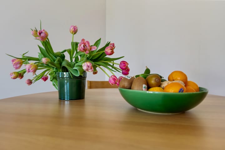 Foto 10 van Dijkmeerlaan 309