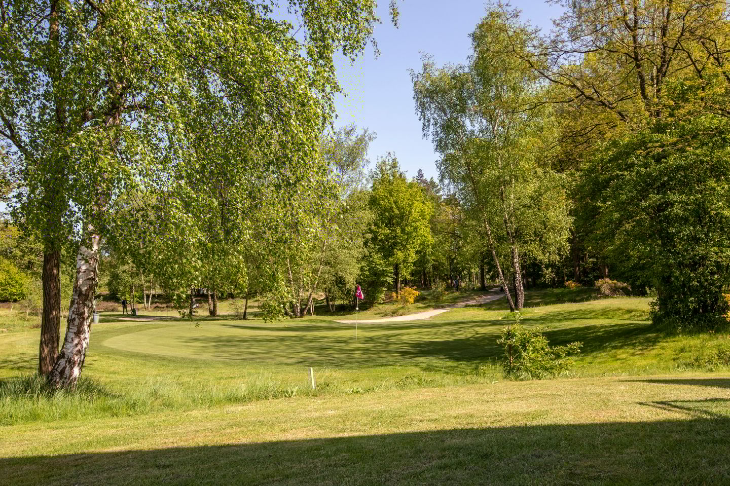 Foto 14 van Van Weerden Poelmanweg 160