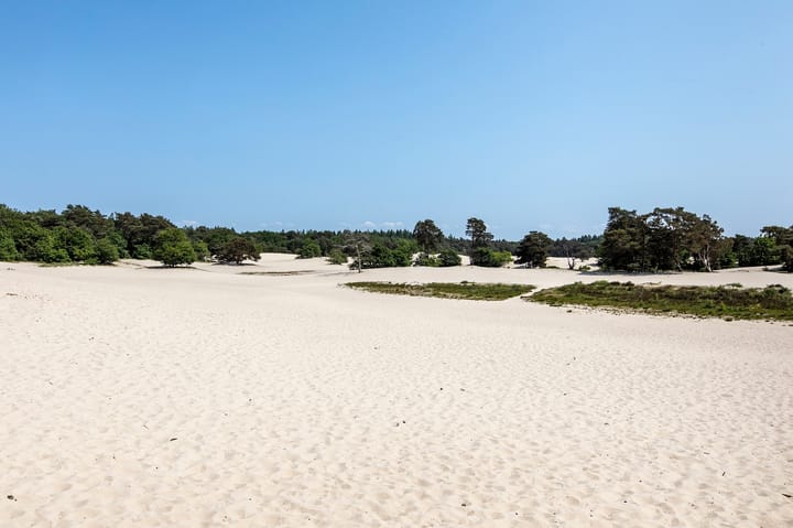 Foto 45 van Van Weerden Poelmanweg 160