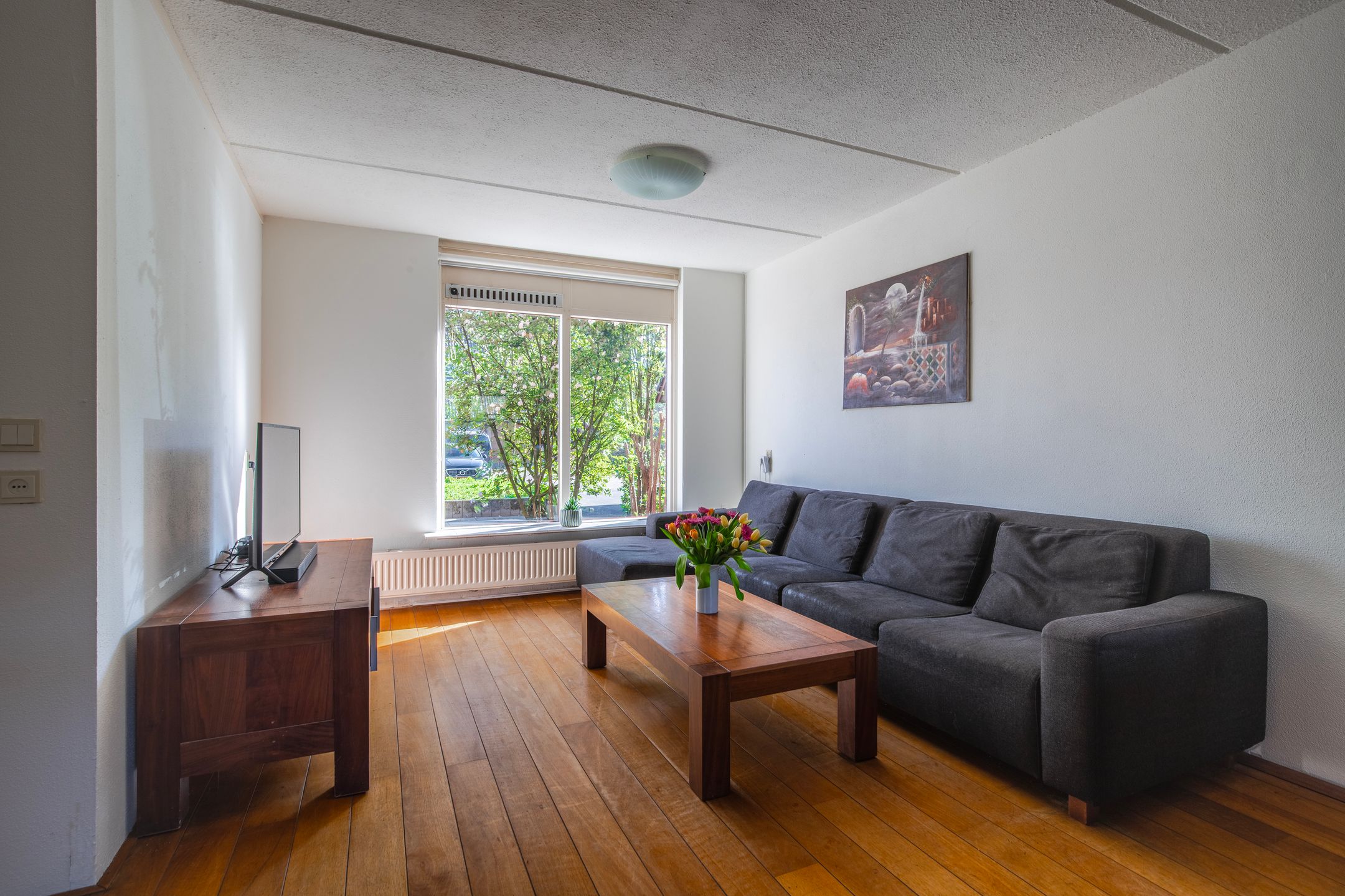 Foto 12 van Elzepas 80