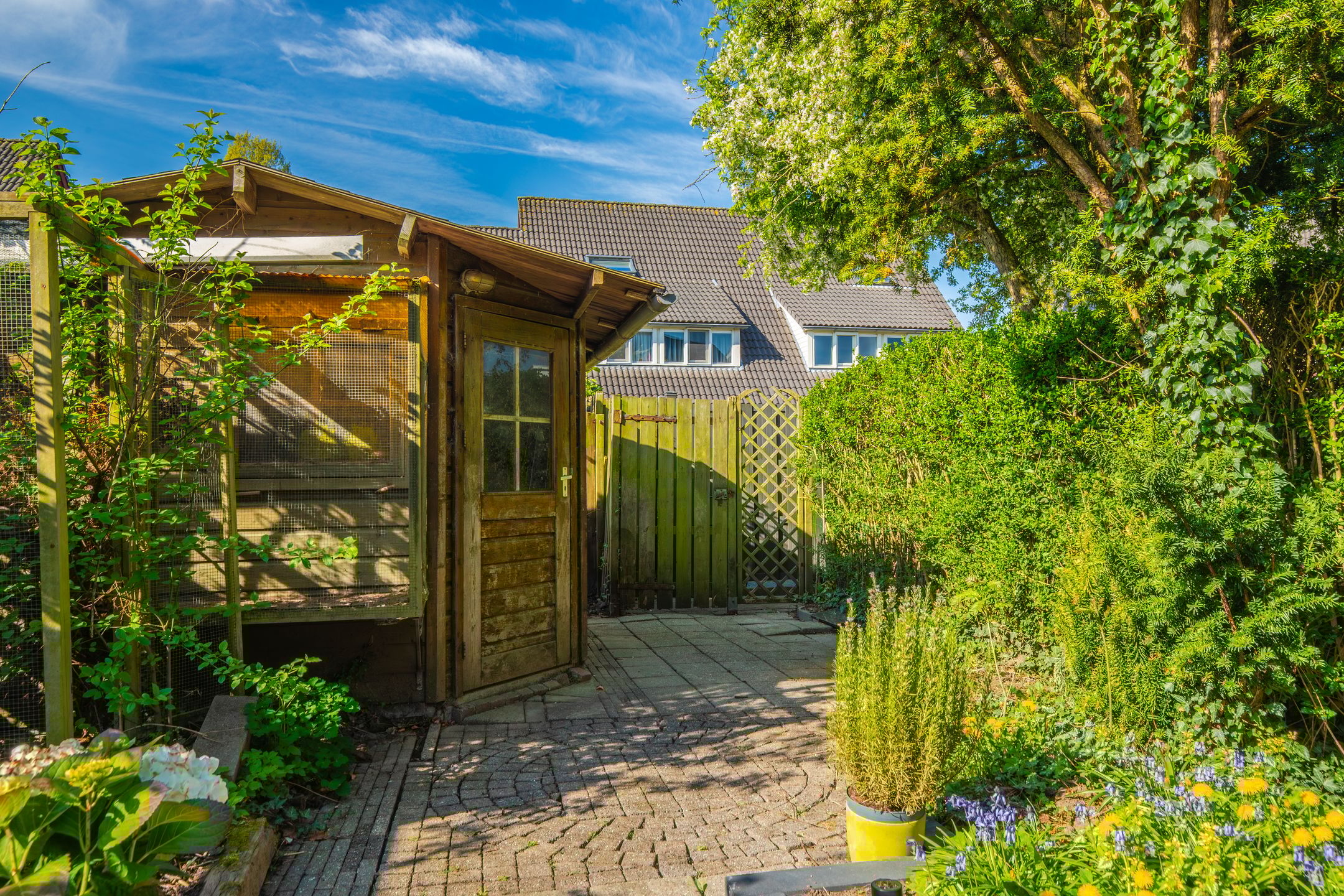 Foto 18 van Elzepas 80