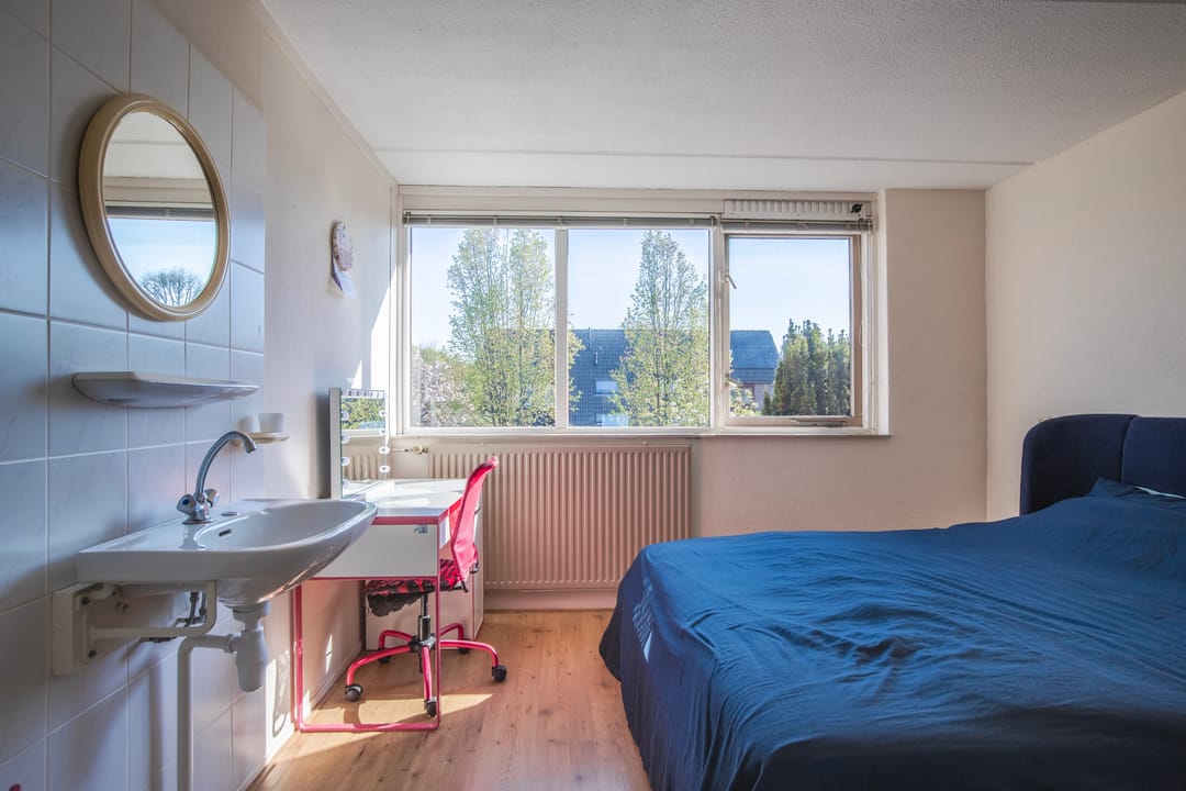 Foto 22 van Elzepas 80