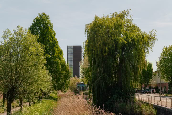 Foto 20 van Tretjakovlaan 104