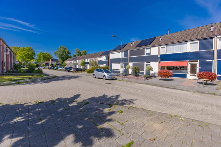 Foto 3 van Wikkel 36