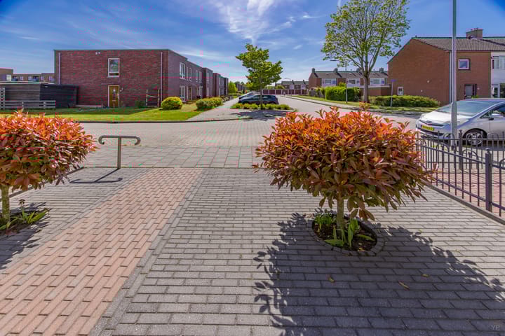 Foto 5 van Wikkel 36