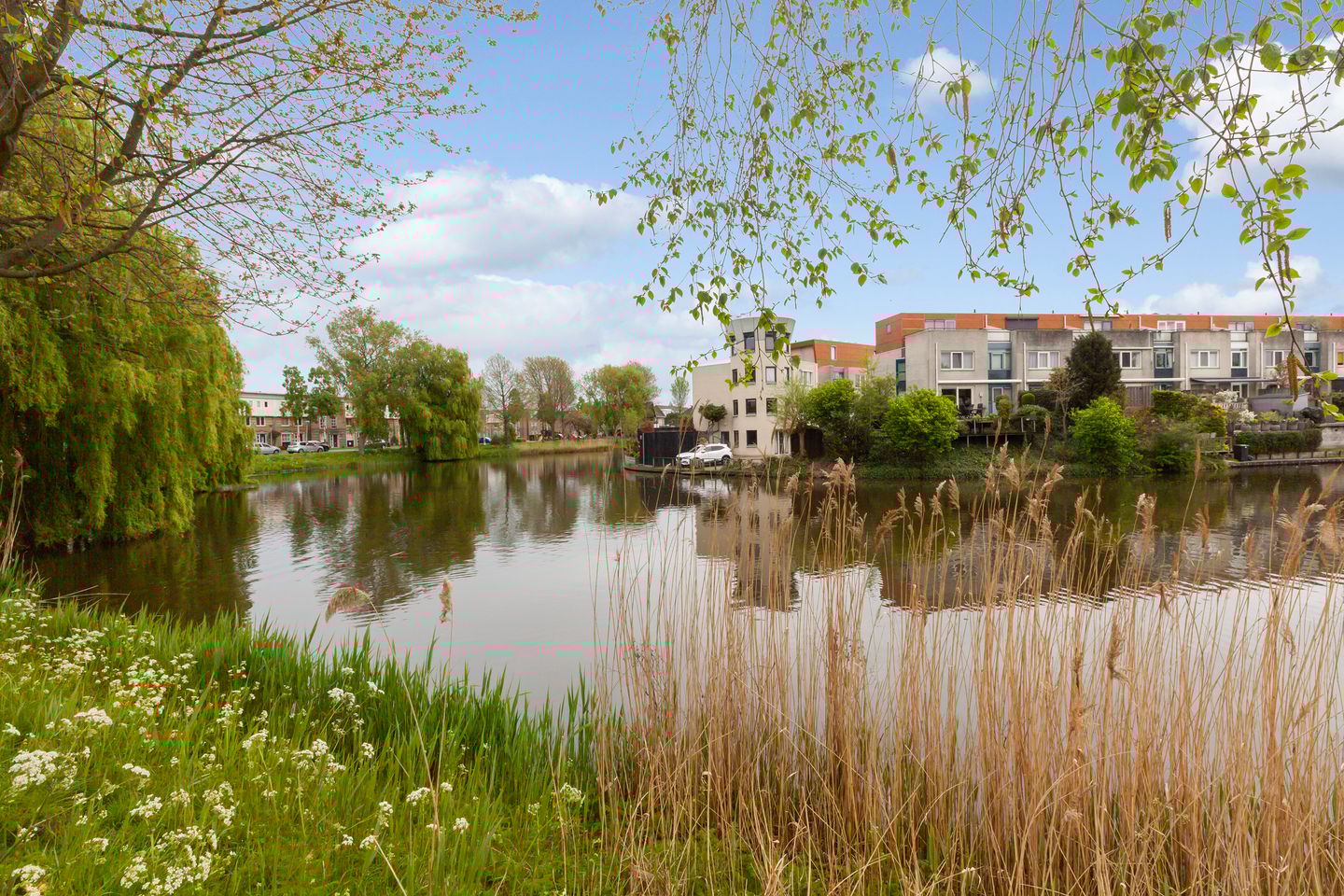 Photo 35 of Frans Halslaan 50