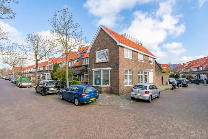 Reigerstraat 113