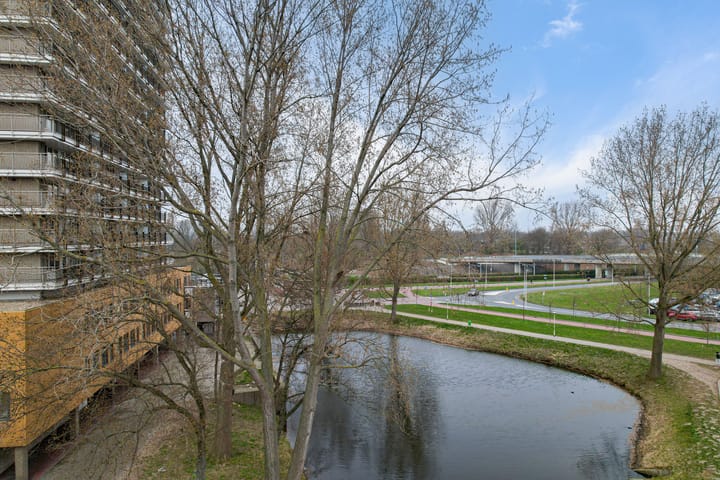 Photo 33 of Croesinckplein 56