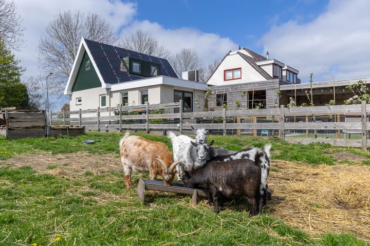 Foto 44 van Torenweg 22