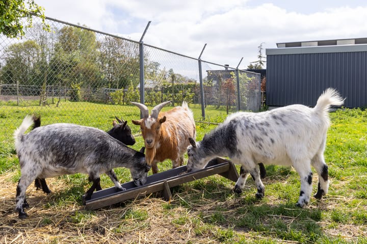 Foto 45 van Torenweg 22