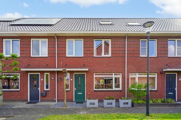 undefined main image