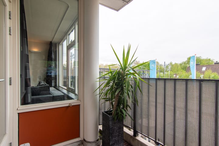 Foto 16 van Petuniatuin 15