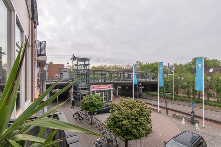 Foto 17 van Petuniatuin 15