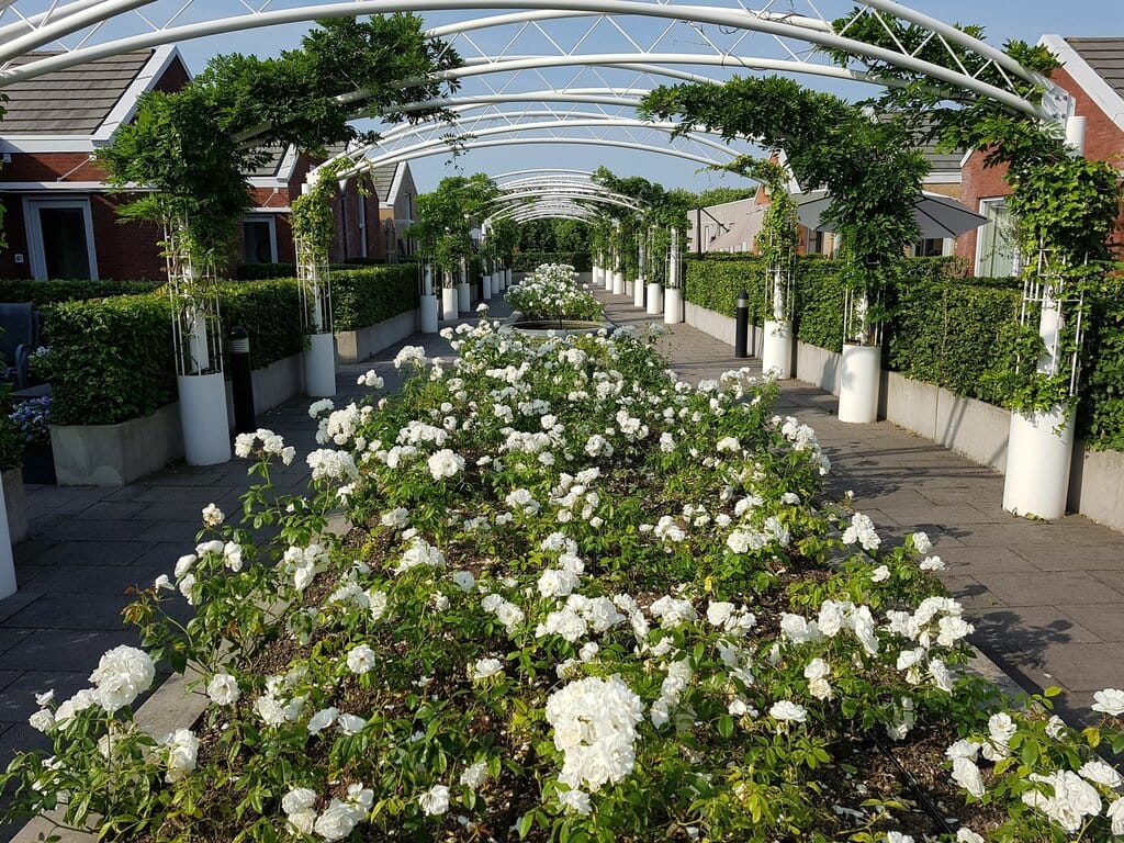 Photo 27 of Hogewoerd 4-R