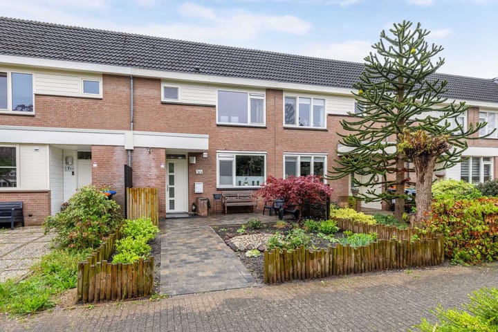 Foto 1 van Botter 36 10