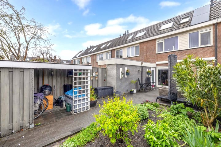 Foto 18 van Botter 36 10