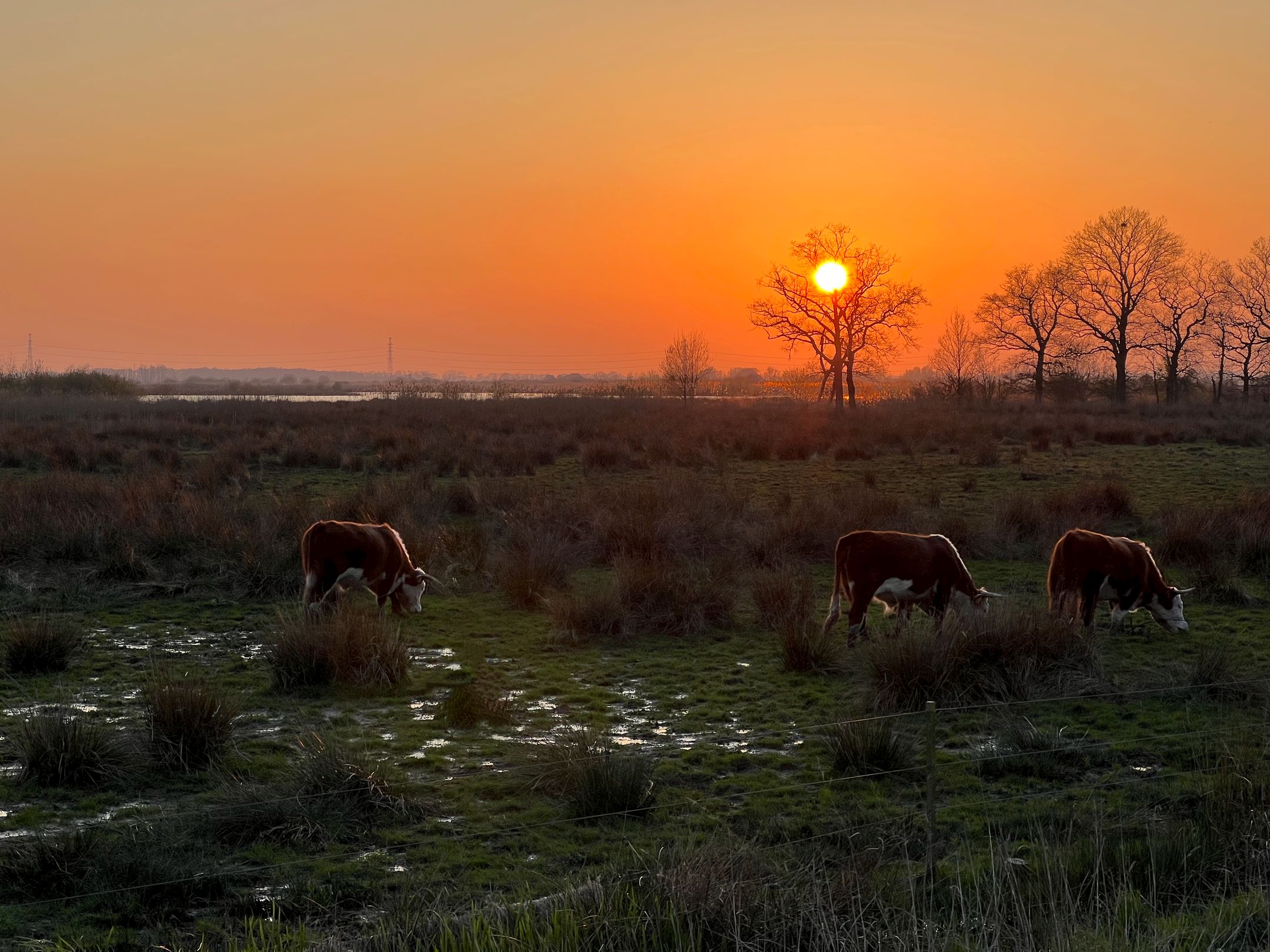 Foto 84 van Warmoltseiland 9