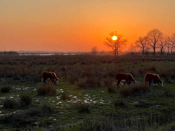 Foto 84 van Warmoltseiland 9