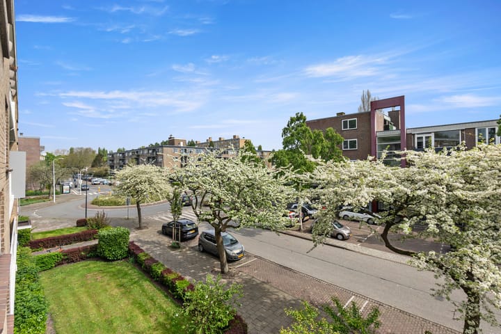 Photo 49 of Brahmslaan 275