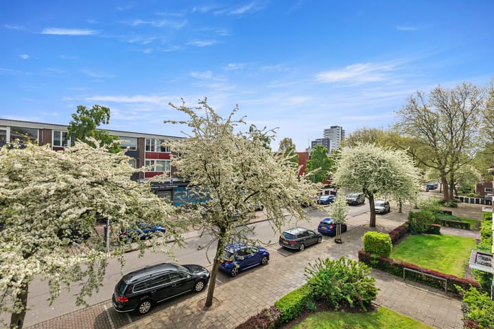 Photo 50 of Brahmslaan 275