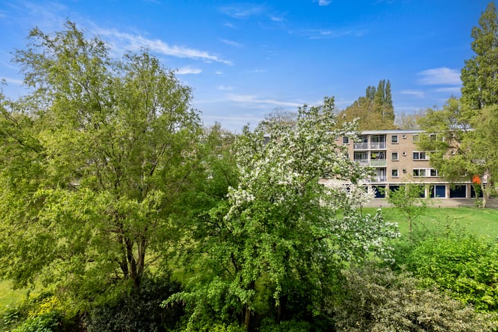 Photo 53 of Brahmslaan 275