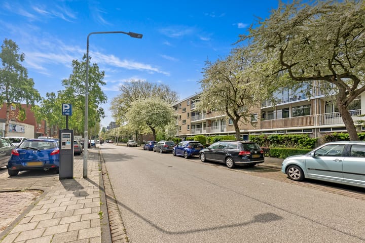 Photo 55 of Brahmslaan 275