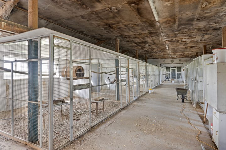 Photo 26 of Veldweg 3