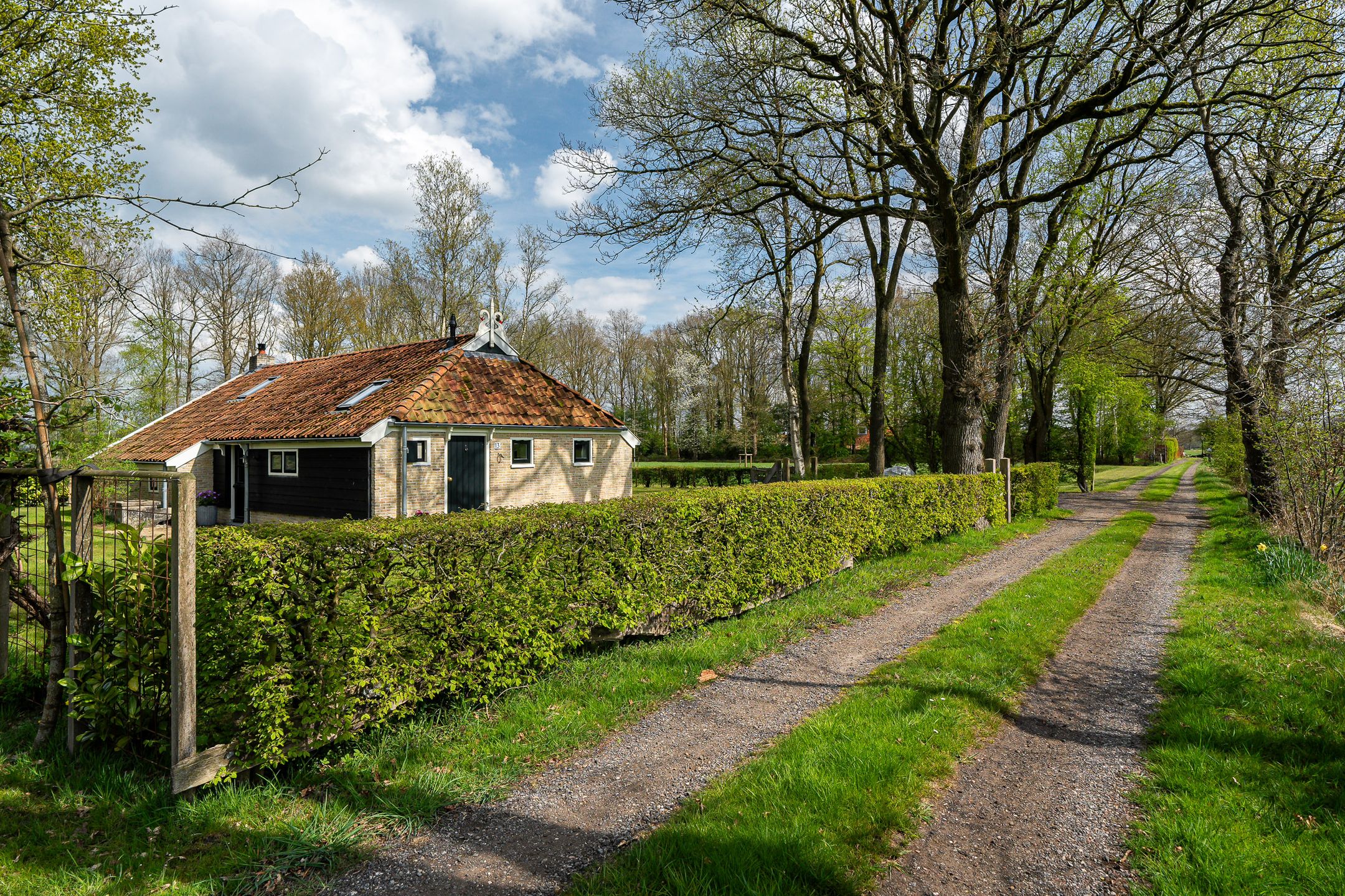 Foto 6 van Biskopsreed 13