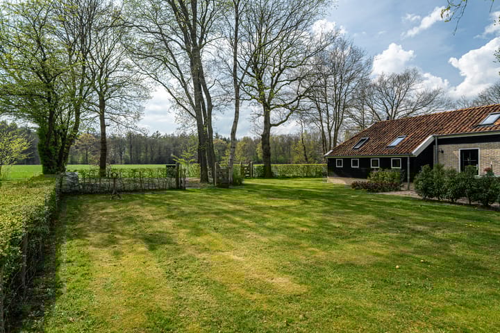 Foto 7 van Biskopsreed 13