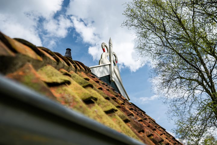 Foto 11 van Biskopsreed 13