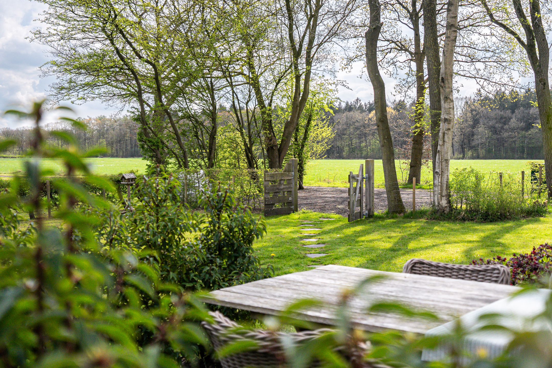 Foto 12 van Biskopsreed 13