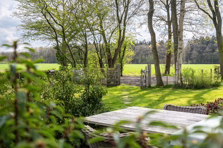 Foto 12 van Biskopsreed 13