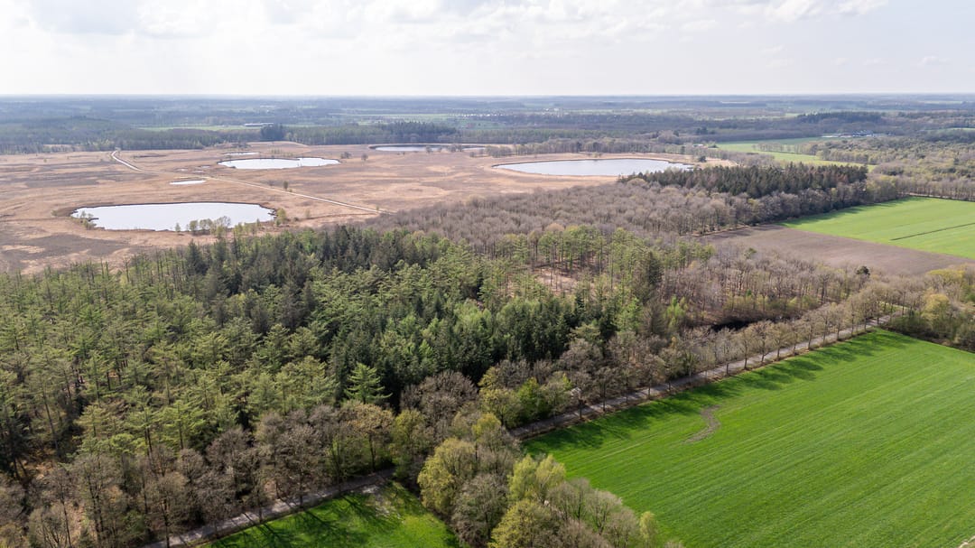 Foto 38 van Biskopsreed 13