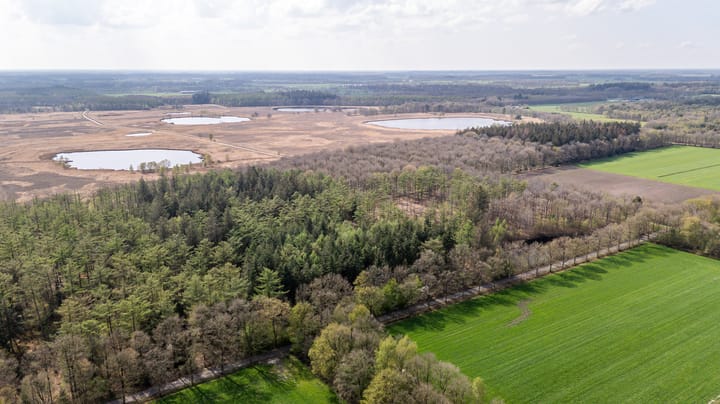 Foto 38 van Biskopsreed 13