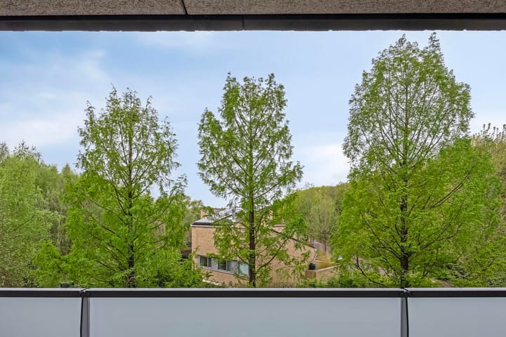 Foto 28 van Sporenring 138-10