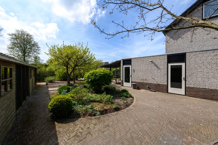 Foto 40 van De Tsjotter 20