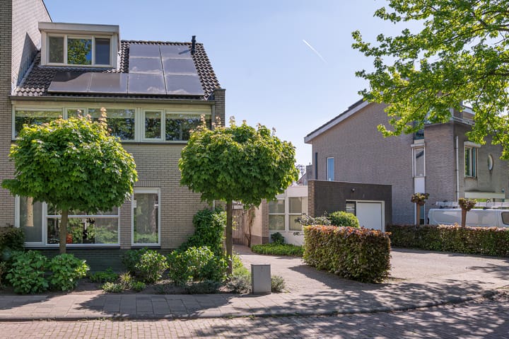 Foto 1 van Buizerd 11