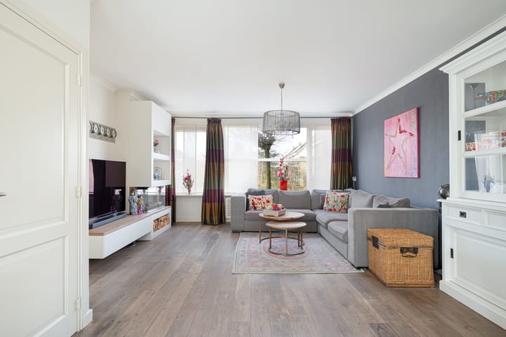 Foto 2 van Buizerd 11