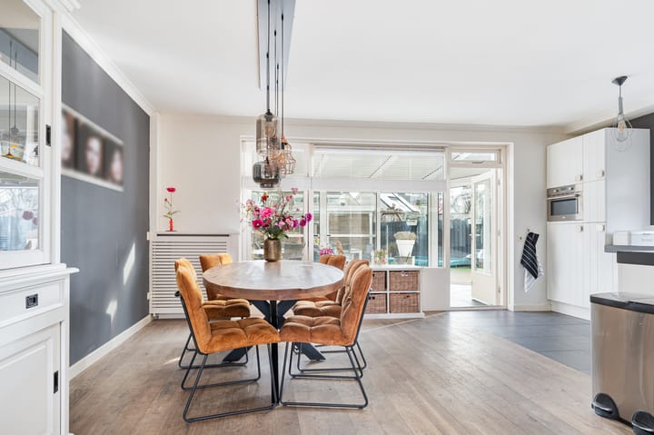 Foto 3 van Buizerd 11