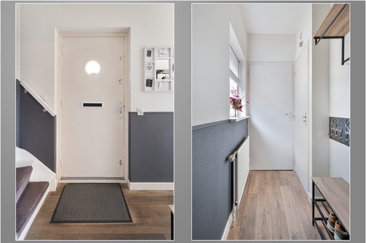 Foto 5 van Buizerd 11