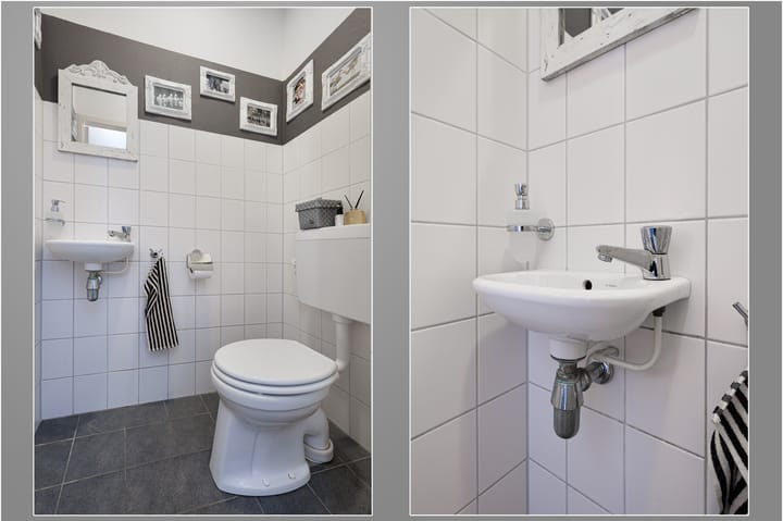 Foto 6 van Buizerd 11