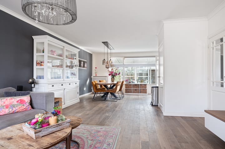 Foto 7 van Buizerd 11