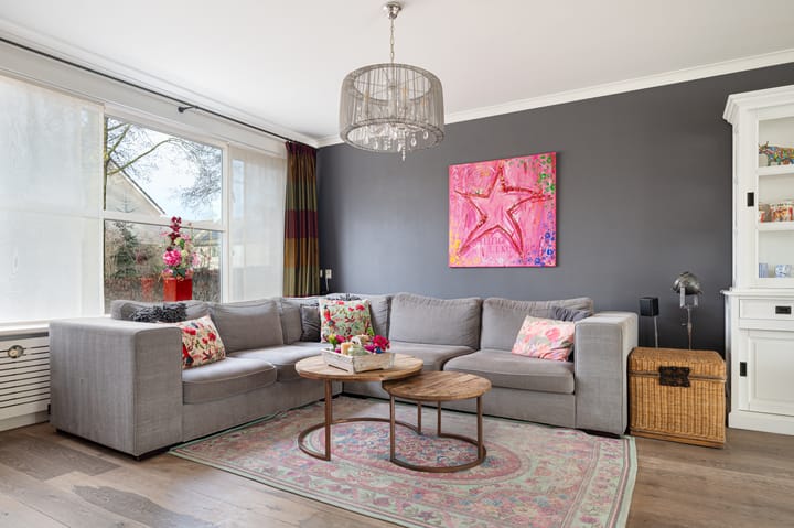 Foto 9 van Buizerd 11