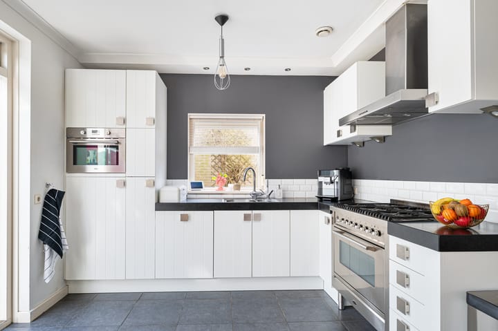 Foto 12 van Buizerd 11